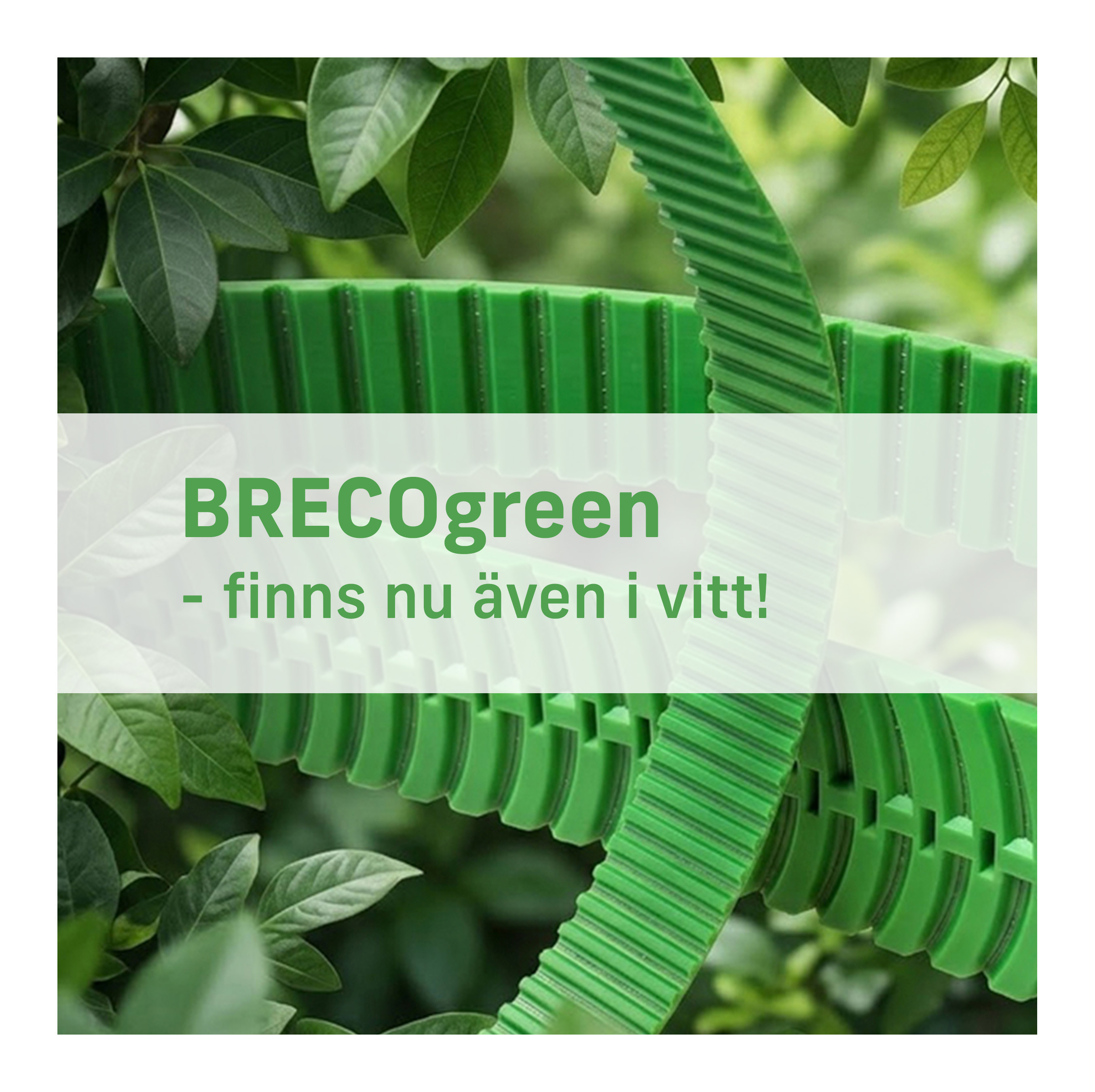 BRECOgreen – nu även som vit rem!