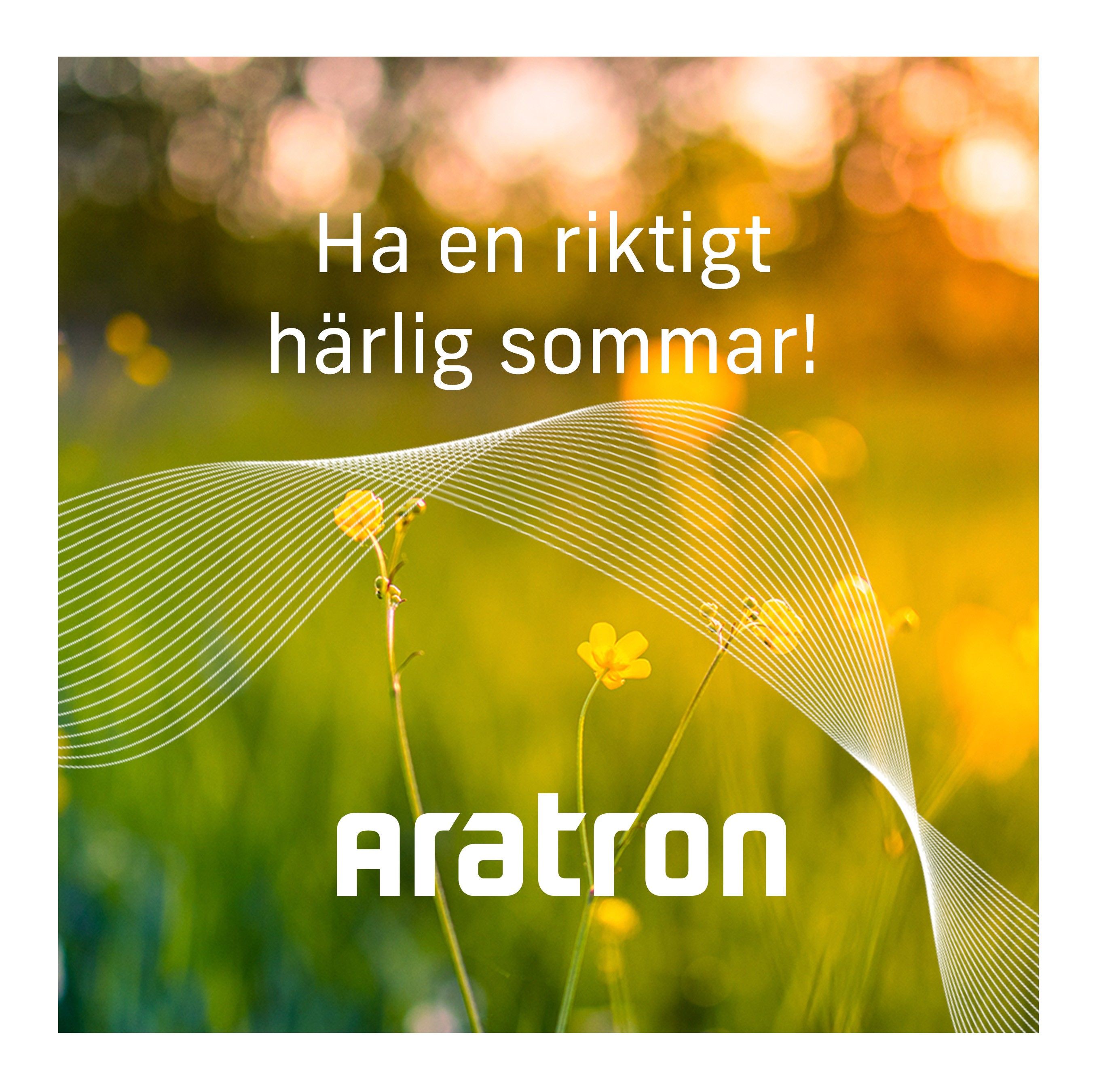 Ha en härlig sommar!